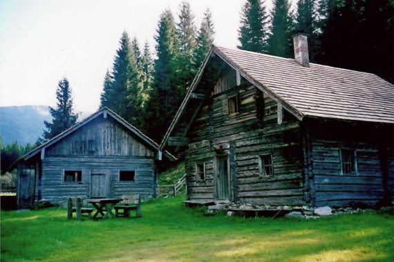 Hofeigene Alm - Ellmaubauer in Forstau Hofeigene Alm - Ellmaubauer in Forstau