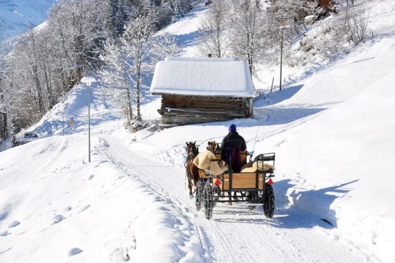 Pferdeschlittenfahrten - Winterurlaub in Forstau im Salzburger Land